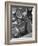 Africans American Football Huddle at Bethune-Cookman College,1943-null-Framed Photo