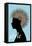 Afro-Teofilo Olivieri-Framed Premier Image Canvas