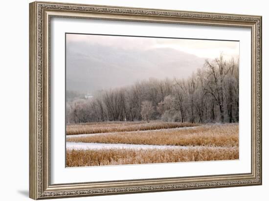 After a Cold Snap-Orah Moore-Framed Art Print