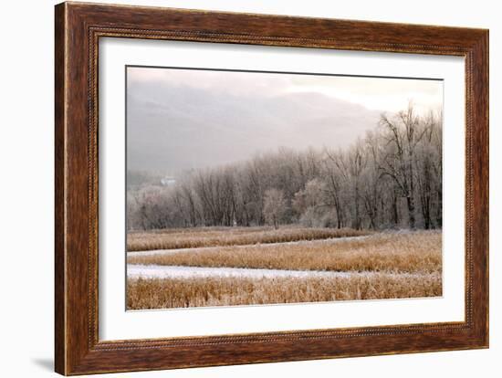 After a Cold Snap-Orah Moore-Framed Art Print