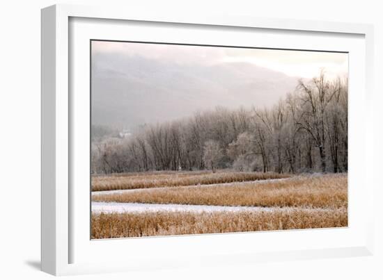 After a Cold Snap-Orah Moore-Framed Art Print