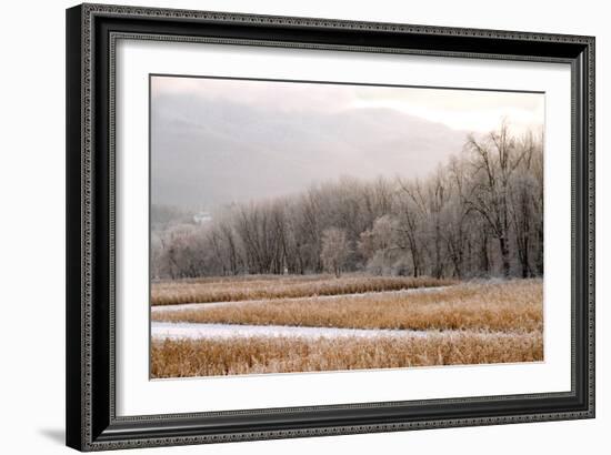 After a Cold Snap-Orah Moore-Framed Art Print