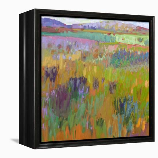 After a Spring Rain-Jane Schmidt-Framed Stretched Canvas