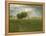 After a Summer Shower, 1894-George Inness Snr.-Framed Premier Image Canvas