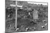 After Allied Troops Had Landed on Kiska Island-null-Mounted Photographic Print