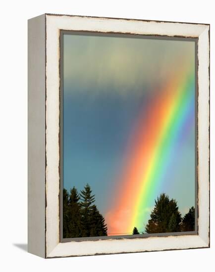 After Bad Weather and Rain Enjoys a Rainbow.-ginasanders-Framed Premier Image Canvas
