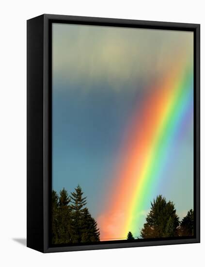 After Bad Weather and Rain Enjoys a Rainbow.-ginasanders-Framed Premier Image Canvas