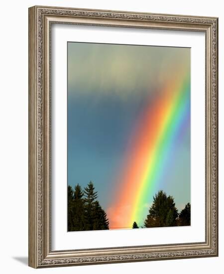 After Bad Weather and Rain Enjoys a Rainbow.-ginasanders-Framed Photographic Print