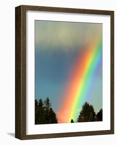 After Bad Weather and Rain Enjoys a Rainbow.-ginasanders-Framed Photographic Print