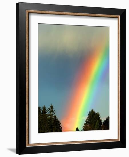 After Bad Weather and Rain Enjoys a Rainbow.-ginasanders-Framed Photographic Print