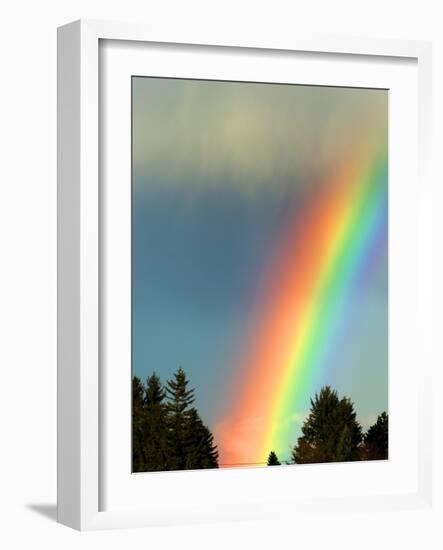 After Bad Weather and Rain Enjoys a Rainbow.-ginasanders-Framed Photographic Print