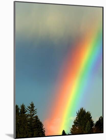 After Bad Weather and Rain Enjoys a Rainbow.-ginasanders-Mounted Photographic Print
