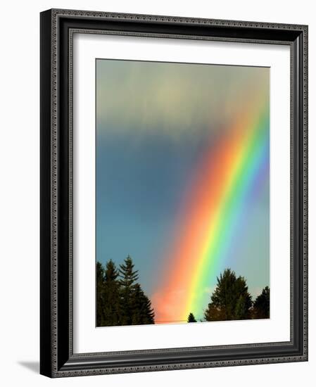 After Bad Weather and Rain Enjoys a Rainbow.-ginasanders-Framed Photographic Print