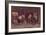 'After Culloden: Rebel Hunting', 1905-Unknown-Framed Giclee Print
