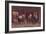 'After Culloden: Rebel Hunting', 1905-Unknown-Framed Giclee Print