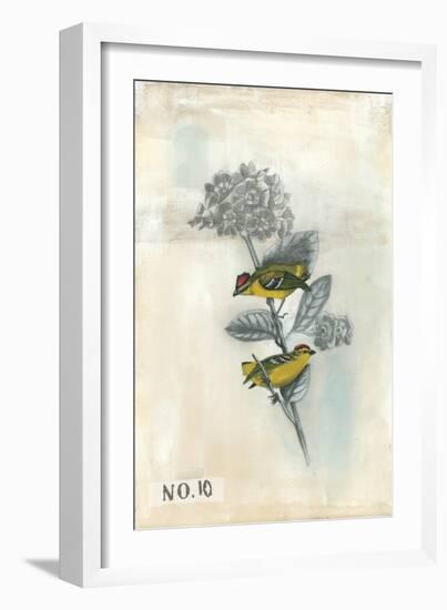 After Flight II-Naomi McCavitt-Framed Art Print