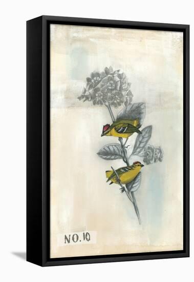 After Flight II-Naomi McCavitt-Framed Stretched Canvas