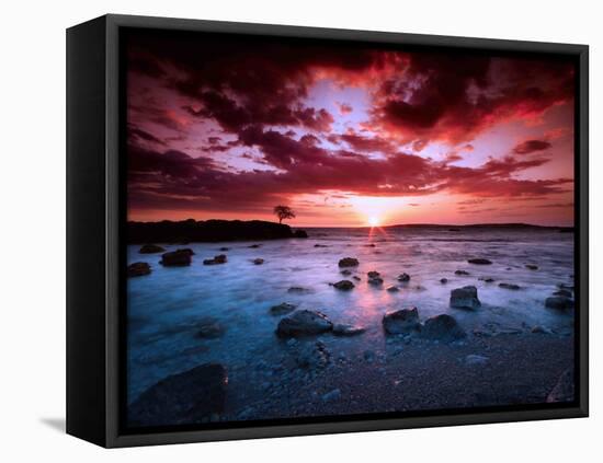 After Hours-Philippe Sainte-Laudy-Framed Premier Image Canvas