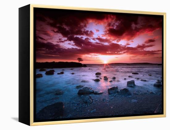 After Hours-Philippe Sainte-Laudy-Framed Premier Image Canvas