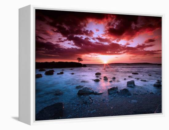 After Hours-Philippe Sainte-Laudy-Framed Premier Image Canvas