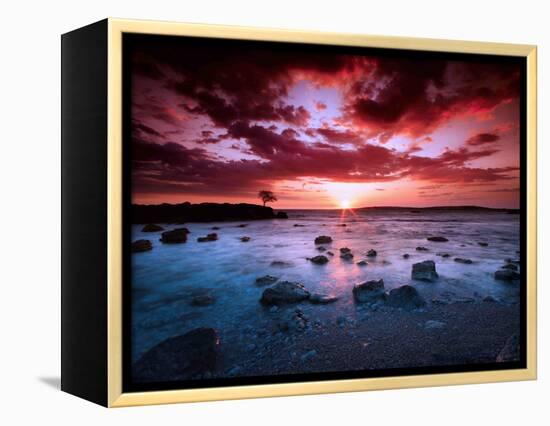 After Hours-Philippe Sainte-Laudy-Framed Premier Image Canvas