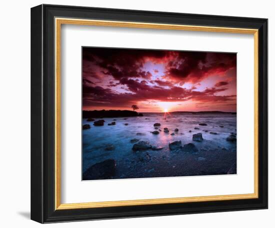 After Hours-Philippe Sainte-Laudy-Framed Premium Photographic Print