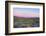 After Sunset in Saguaro National Park-Anna Miller-Framed Premium Photographic Print