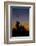 After Sunset in Saguaro National Park-Anna Miller-Framed Photographic Print