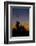 After Sunset in Saguaro National Park-Anna Miller-Framed Photographic Print