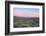 After Sunset in Saguaro National Park-Anna Miller-Framed Photographic Print