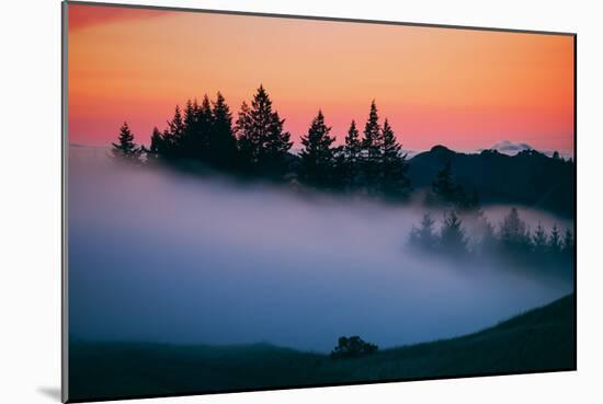 After Sunset Silhouette and Fog, Mount Tamalpais California-Vincent James-Mounted Photographic Print