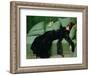 After the Ball-Ramon Casas i Carbo-Framed Premium Giclee Print