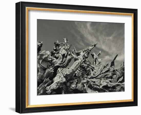 After The Chaos-Bernard Webb-Framed Giclee Print