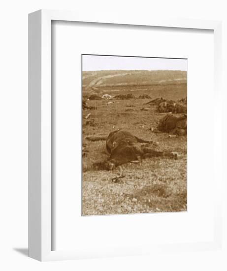 After the charge, Beauséjour, northern France, c1914-c1918-Unknown-Framed Photographic Print