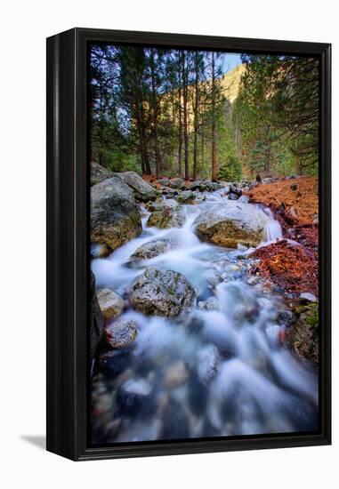 After The Fire, Water Flow From Horsetail Falls, Yosemite Valley-Vincent James-Framed Premier Image Canvas