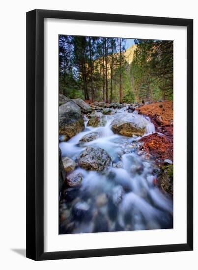 After The Fire, Water Flow From Horsetail Falls, Yosemite Valley-Vincent James-Framed Photographic Print