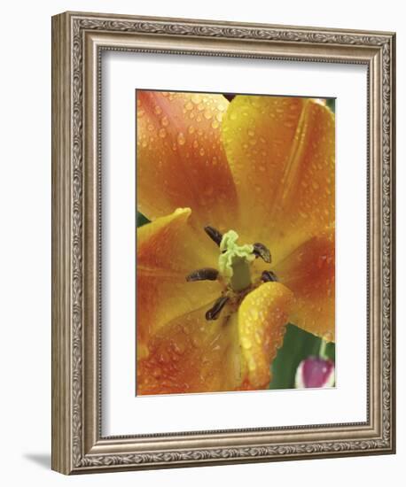 After the Rain 2050-Brian Leighton-Framed Giclee Print