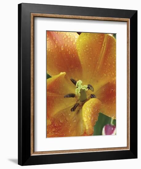 After the Rain 2050-Brian Leighton-Framed Giclee Print