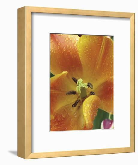 After the Rain 2050-Brian Leighton-Framed Giclee Print