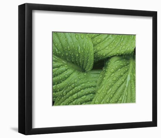 After the Rain 6833-Brian Leighton-Framed Giclee Print