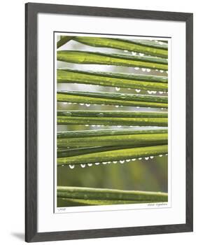 After the Rain I-Joy Doherty-Framed Giclee Print