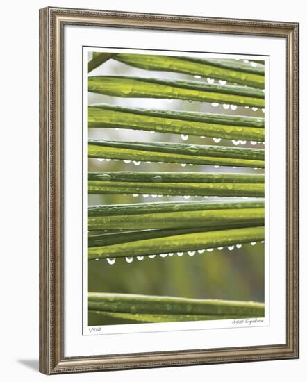 After the Rain I-Joy Doherty-Framed Giclee Print