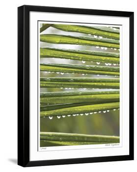 After the Rain I-Joy Doherty-Framed Giclee Print
