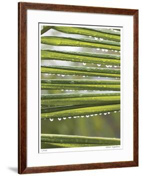 After the Rain I-Joy Doherty-Framed Giclee Print