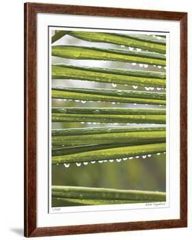 After the Rain I-Joy Doherty-Framed Giclee Print