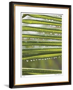After the Rain I-Joy Doherty-Framed Giclee Print