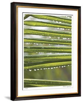 After the Rain I-Joy Doherty-Framed Giclee Print