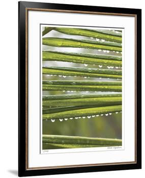 After the Rain I-Joy Doherty-Framed Giclee Print