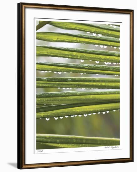 After the Rain I-Joy Doherty-Framed Giclee Print