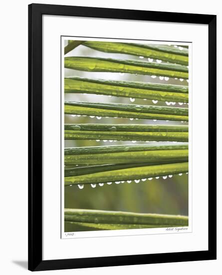 After the Rain I-Joy Doherty-Framed Giclee Print